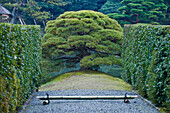 Katsura Imperial Villa Garden