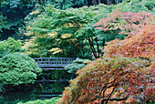 The Japanese Garden in Portland is a 5.5 acre garden and retreat. Said to be one of the most authentic Japanese Garden's outside of Japan, the rolling terrain and water features symbolize both peace and strength. Traditional hard landscaping designs, wate