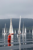 Sailing competion,  Sailingclub Oberstaad, near  Wangen, Hoeri, Lake of Constance, Baden-Wurttemberg, Germany