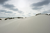 Sand dunes, sandbank, near Nebel, Amrum, North Frisian Islands, Schleswig-Holstein, Germany
