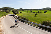 Rennradfahrer auf einer Landstraße, Calvia, Mallorca, Balearische Inseln, Spanien