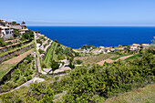 Terassierte Anbauflächen und Wohnhäuser am Mittelmeer, Banyalbufar, Mallorca, Spanien