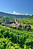 Neustift Convent with vineyards in foreground, Neustift Convent, Brixen, South Tyrol, Italy