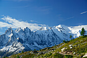 View to Aiguilles du Chamonix, Mont Blanc du Tacul, Aiguille du Midi, Mont Maudit and Mont Blanc, Mont Blanc range, Chamonix, Savoy, France