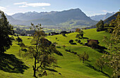 Blick über Almwiese auf Schwyz von Westen, Kanton Schwyz, Zentralschweiz, Schweiz, Europa