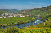 View at Trittenheim, Moselle, Rhineland-Palatine, Germany