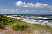 Beach at Gellen on Hiddensee island, Baltic coast, Mecklenburg Western Pomerania, Germany, Europe