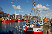 Fischerboote am Alten Strom, Warnemünde, Rostock, Ostseeküste, Mecklenburg Vorpommern, Deutschland, Europa