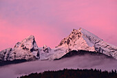 Watzmann im Morgengrauen, Berchtesgadener Alpen, Oberbayern, Bayern, Deutschland