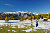 Two hikers walking on meadow with larch trees in autumn colors, view to Gardenaccia, Puez range and Geisler range, valley Val Badia, Dolomites, UNESCO World Heritage Site Dolomites, South Tyrol, Italy