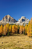 Tofana di Rozes and Tofana di Mezzo above larch trees in autumn colors, Cortina d´Ampezzo, Dolomites, UNESCO World Heritage Site Dolomites, Veneto, Italy