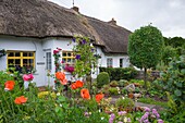 Traditional thatched cottages at Adare, county Limerick, Ireland