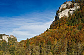 View over forest onto Werenwag Castle, Hausen im Tal, Upper Danube Valley, Swabian Alp, Baden-Wuerttemberg, Germany, Europe