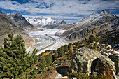 Aletsch Glacier and Aletsch Forest, UNESCO World Heritage site, Canton of Valais, Switzerland, Europe