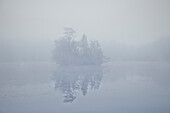Tiny island in forest lake surrounded by fog, Leipheim around Günzburg, Schwaben, Bavaria, Germany