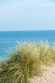 Sand dunes with dune grass, Sylt, Schleswig-Holstein, Germany