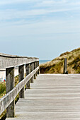 Wooden promenade through the dunes, Sylt, Schleswig-Holstein, Germany
