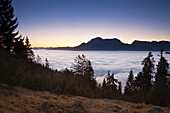 Blick über den Nebel im Tal zum Hohen Göll und Hohen Brett, Berchtesgadener Land, Nationalpark Berchtesgaden, Oberbayern, Bayern, Deutschland, Europa