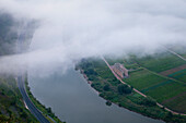 Mist at the ruins of Stuben monastery near Bremm, Mosel river, Rhineland-Palatinate, Germany