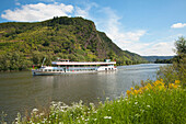 Excursion ship, near Cochem, Mosel river, Rhineland-Palatinate, Germany