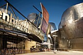 MAIN ENTRANCE GUGGENHEIM MUSEUM OF MODERN ART BILBAO BASQUE COUNTRY SPAIN