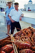 Fishermen  Mikonos  Cyclades Islands  Greece.