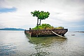 Beach, Puerto Viejo, Caribbean coast, Costa Rica.