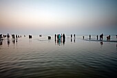 Pilgrims bathing at the confluence of the river Ganges and the Bay of Bengal , Sagar Mela, India, Ganges River