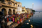 Making offerings ´puja´ to the lake Pichola during a holy day, Tripolia Gate of Gangaur Ghat  Udaipur  Rajasthan  India