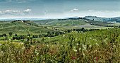 Arbia, Italy, Europe, Tuscany, Toscana, fields, hills, scenery, green. Arbia, Italy, Europe, Tuscany, Toscana, fields, hills, scenery, green