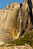 A rainbow appears one fall morning on Upper Yosemite Falls