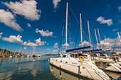 Yacht harbor, Port Moselle, Noumea, Grand Terre, New Caledonia