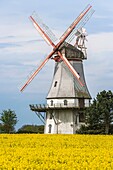 The picturesque Behlmer mill, Engeln, Lower Saxony, Germany, Europe