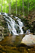 A tributary of Walker Brook in Woodstock, New Hampshire USA during the spring months
