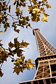Champ de Mars, park around of Eiffel Tower, Paris, France, Europe