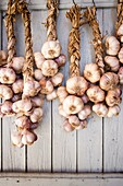 Garlics in Sault, Provence, France