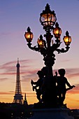 France, Paris, Alexandre III bridge and Eiffel Tower at night