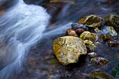 Rocks in a riverbed