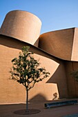 MARTa Museum for contemporary art and design , Herford, North Rhine-Westphalia, Architect Frank Gehry