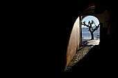 Tree and arch with shadows on lakefront in ascona switzerland