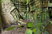 Preah Khan Sacred Sword, Angkor, UNESCO World Heritage Site, Cambodia, Indochina, Southeast Asia, Asia