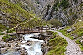 Las Salidas de Bulnes, Hiking Trial from Poncebos to Bulnes, Picos de Europa National Park, Asturias, Spain, Europe