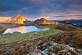 Lake Enol with La Porra Enol and Cerru Sornin in the background, Picos de Europa National Park, Covadonga, Asturias, Spain