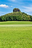 View to the Zirkelstein rock. The Zirkelstein is the smallest table mountain in the national park Saxon Switzerland It is a wooded, cone-shaped hill with a striking 40 metre high summit rock of sandstone, municipality Reinhardtsdorf-Schoena, Saxony, Germa