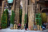 A bamboo store with different size bamboos lined up against the building