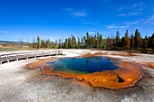 Emerald Pool, a colorful hot springs thermal pool, at Black Sand Basin, Yellowstone National Park, Wyoming/Idaho, Montana, USA