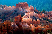 Colours in the Sunrise Point, Bryce Amphitheater, Bryce Canyon National Park, Uth, USA
