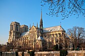 Notre Dame from the quai de la tournelle