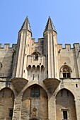View of the Palais des Papes in Avignon, Provence, France
