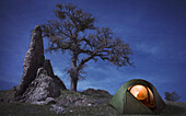 Person in Illuminated Tent on Hilltop Near Tree and Rock Formation at Night